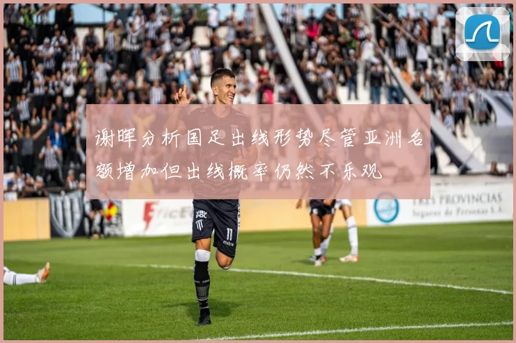 谢晖分析国足出线形势尽管亚洲名额增加但出线概率仍然不乐观