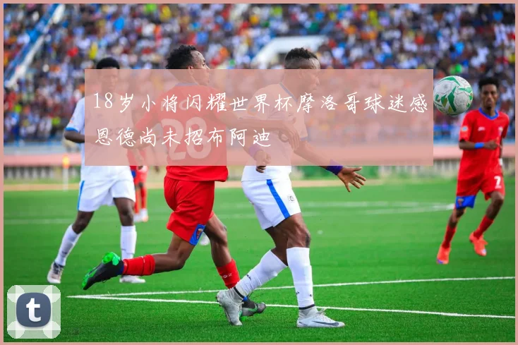 18岁小将闪耀世界杯摩洛哥球迷感恩德尚未招布阿迪